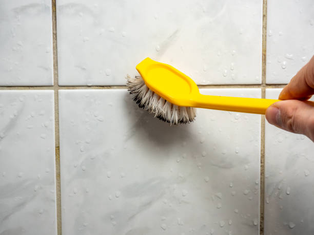 Best Best Mold Removal Companies  in Mill Hall, PA