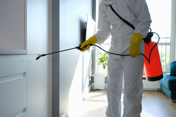 Best Mold Testing  in Mill Hall, PA