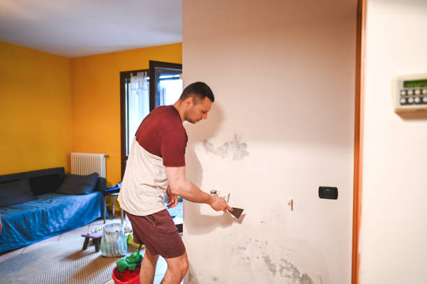 Best Mold Cleaning Services  in Mill Hall, PA
